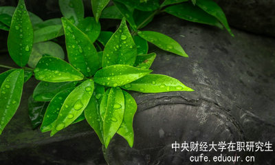 中央財(cái)經(jīng)大學(xué)同等學(xué)力申碩達(dá)到多少分才算通過考試？