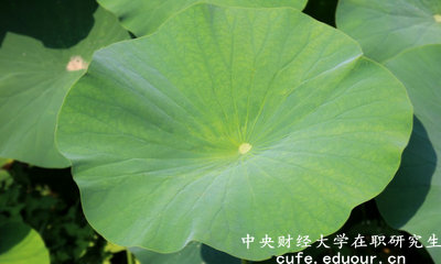 2018年中央財(cái)經(jīng)大學(xué)在職研究生可以獲得雙證嗎？