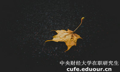 中央財(cái)經(jīng)大學(xué)在職研究生與課程研修班有哪些區(qū)別？