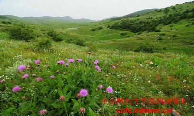 中國財經(jīng)大學(xué)在職研究生可以不考試么？