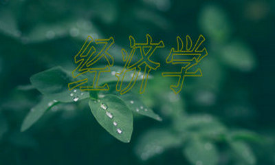 2018年中央財經(jīng)大學(xué)在職研究生經(jīng)濟(jì)學(xué)招生情況